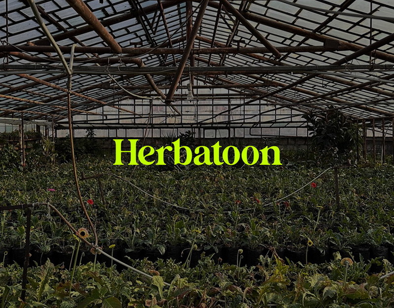 Ozon запускает региональную витрину для ярославских производителей