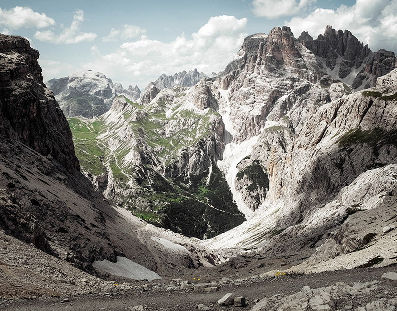 В мире зацвела альпийская пуйя  это происходит только раз в 20 лет, и у нас есть фотографии